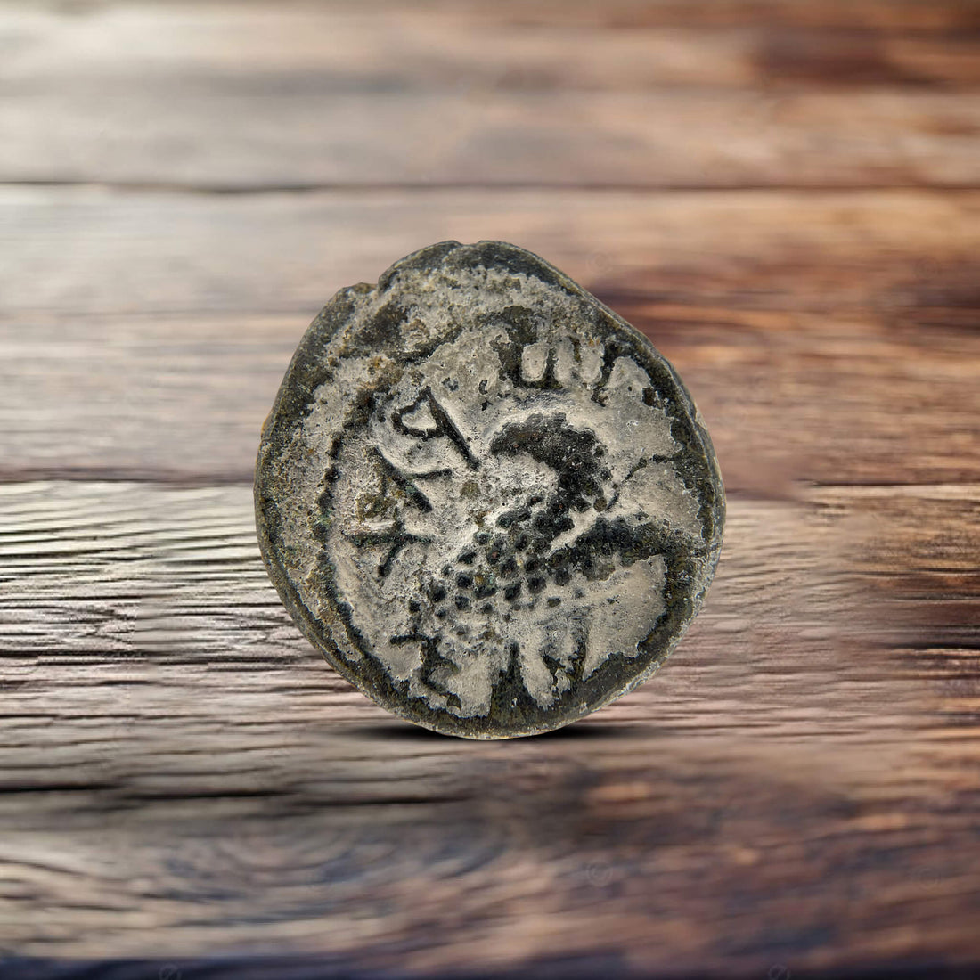 Bar Kochba Revolt Ancient Coin