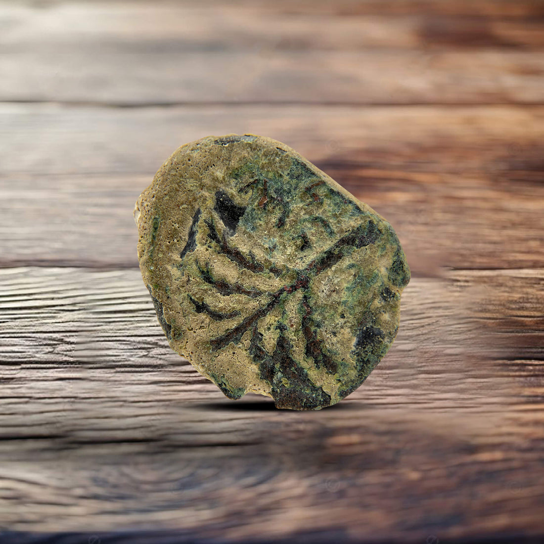 Bar Kochba Revolt Ancient Coin