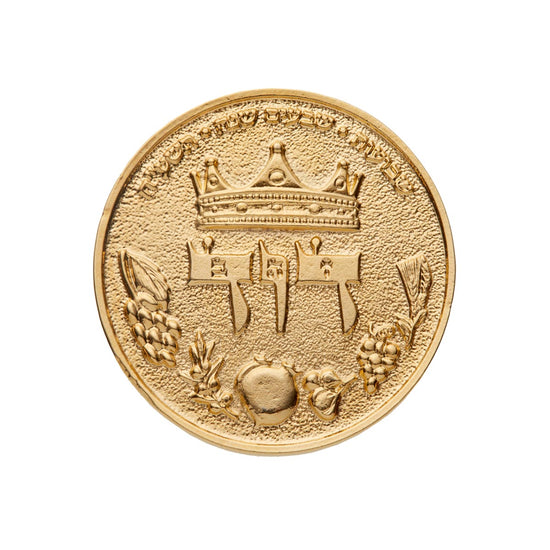 King David Half Shekel Coin (7904561496214) (7910547095702)